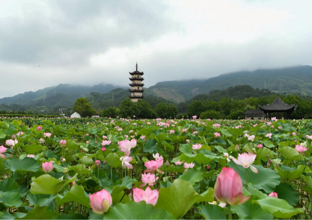轮播图